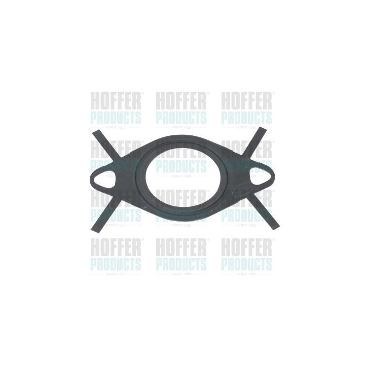 Tarpiklis, EGR vožtuvo vamzdelis HOFFER 016146