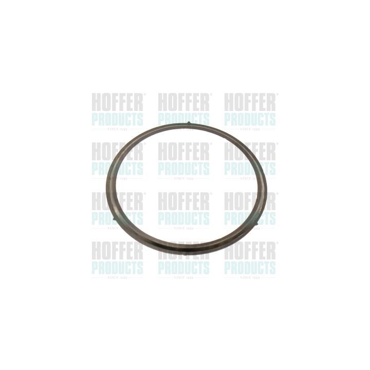 Tarpiklis, EGR vožtuvas HOFFER 016207