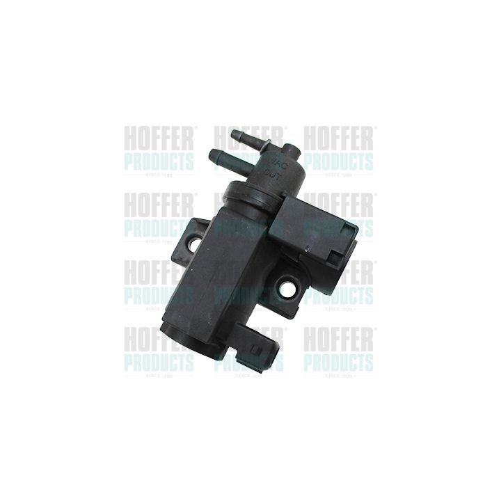 Slėgio keitiklis, turboįkrova HOFFER 8029532