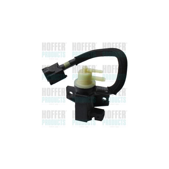 Slėgio keitiklis, turboįkrova HOFFER 80299031