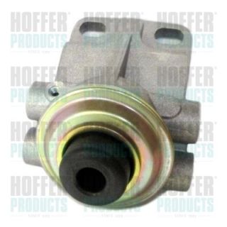 įpurškimo sistema HOFFER 8029027