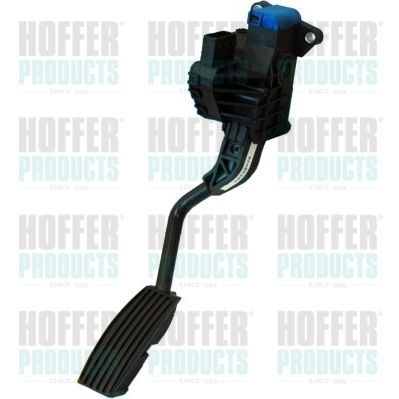 Važiavimo pedalų komplektas HOFFER 7513513