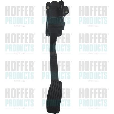 Važiavimo pedalų komplektas HOFFER 7513529