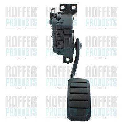 Važiavimo pedalų komplektas HOFFER 7513568