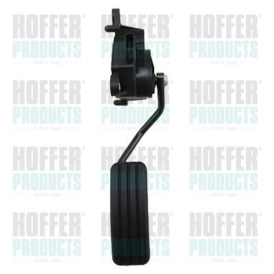 Važiavimo pedalų komplektas HOFFER 7513619