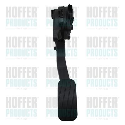 Važiavimo pedalų komplektas HOFFER 7513624
