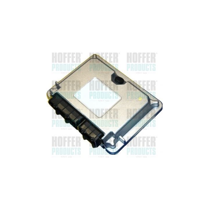 Valdymo blokas, variklio valdymas HOFFER 7540071