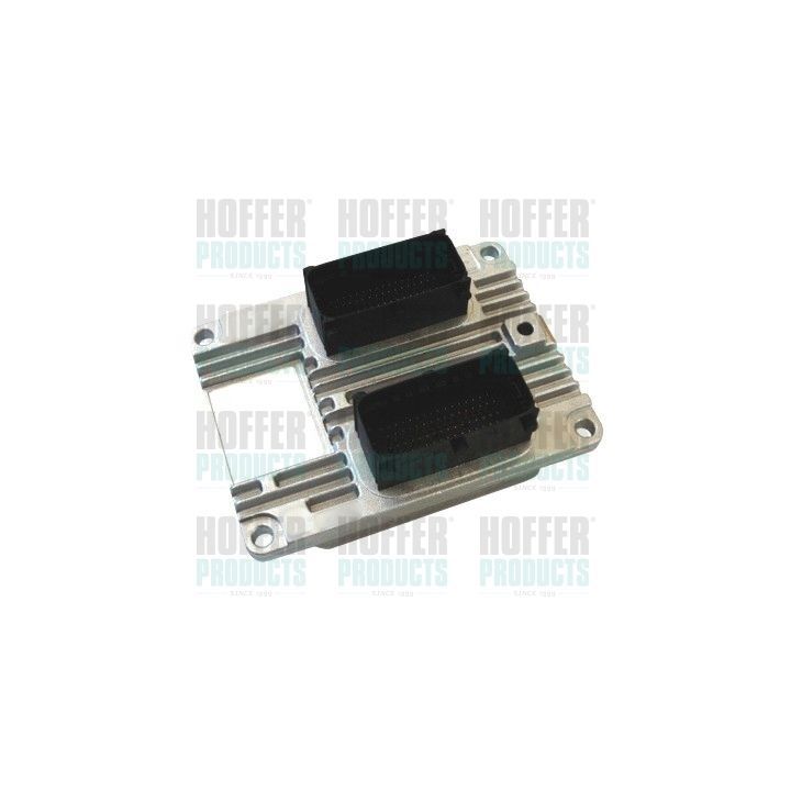 Valdymo blokas, variklio valdymas HOFFER 7540084