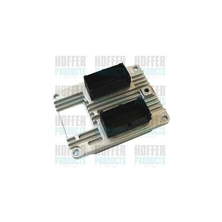 Valdymo blokas, variklio valdymas HOFFER 7540085