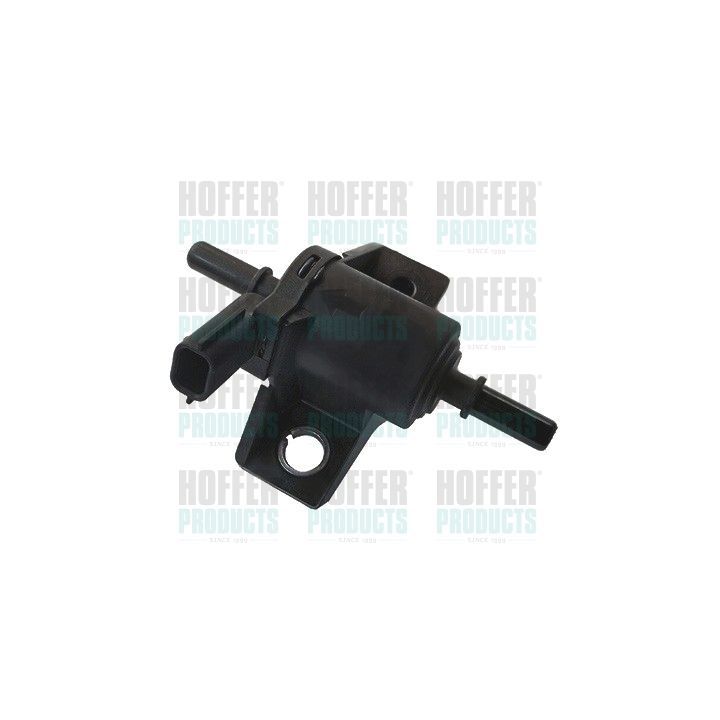 Vožtuvas, įpurškimo sistema HOFFER 8029326