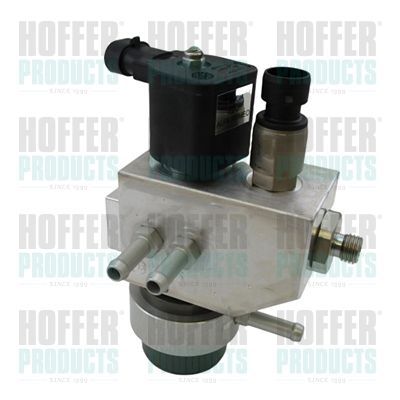 Vožtuvas, įpurškimo sistema HOFFER H13123