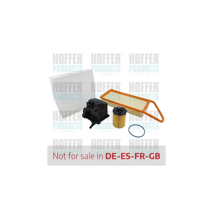 Filtrų komplektas HOFFER FKPSA015