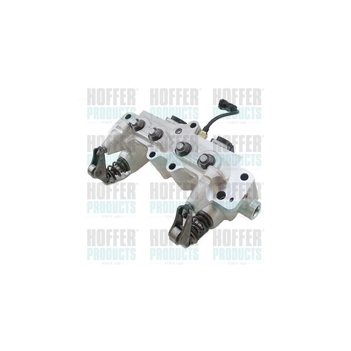 įsiurbimo kolektoriaus modulis HOFFER 7519526