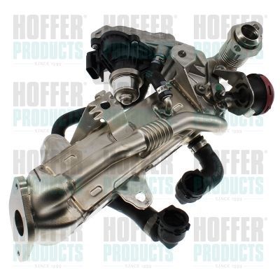 ERG modulis HOFFER 7518804