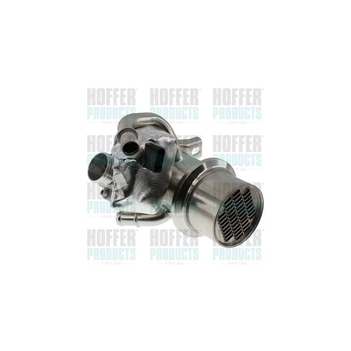 ERG modulis HOFFER 7518993