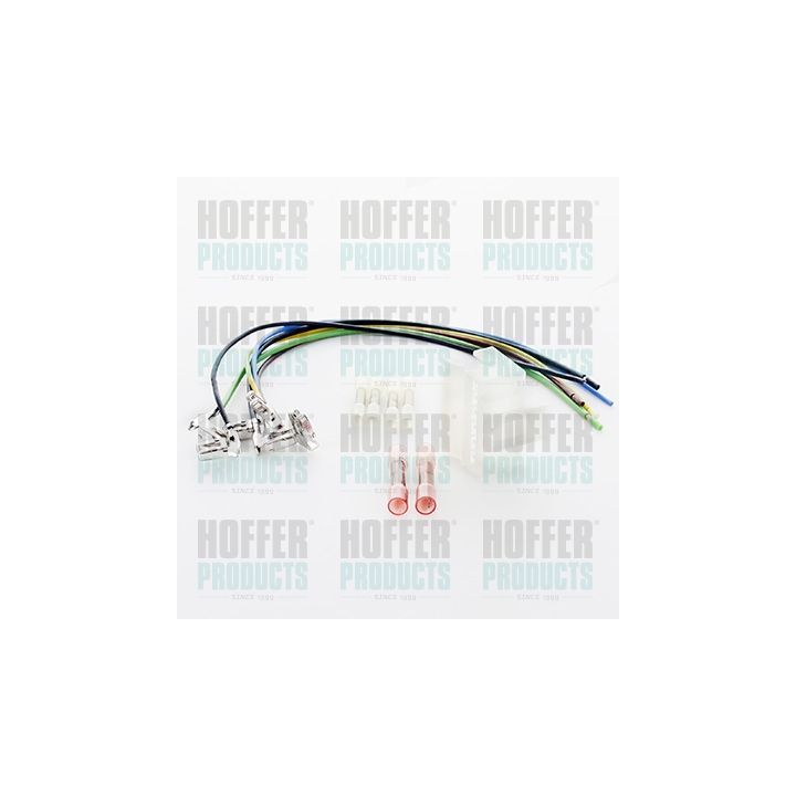 Remonto rinkinys, diržas HOFFER 25167