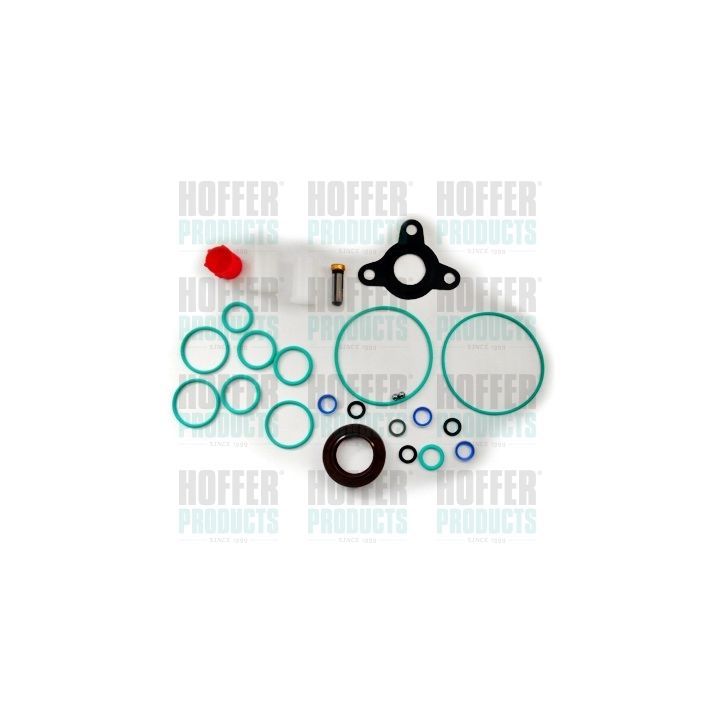 Sandarinimo rinkinys, įpurškimo siurblys HOFFER 9539