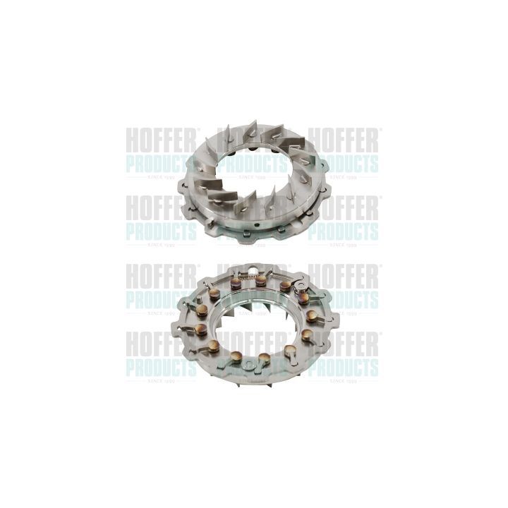 Remonto rinkinys, guolis HOFFER 6500559