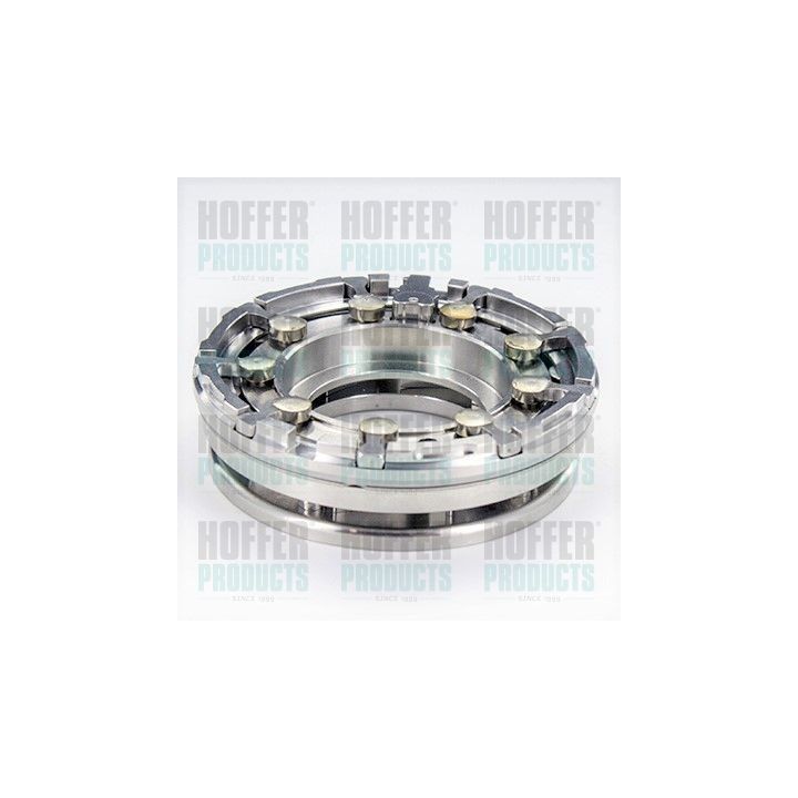 Remonto rinkinys, guolis HOFFER 6500573