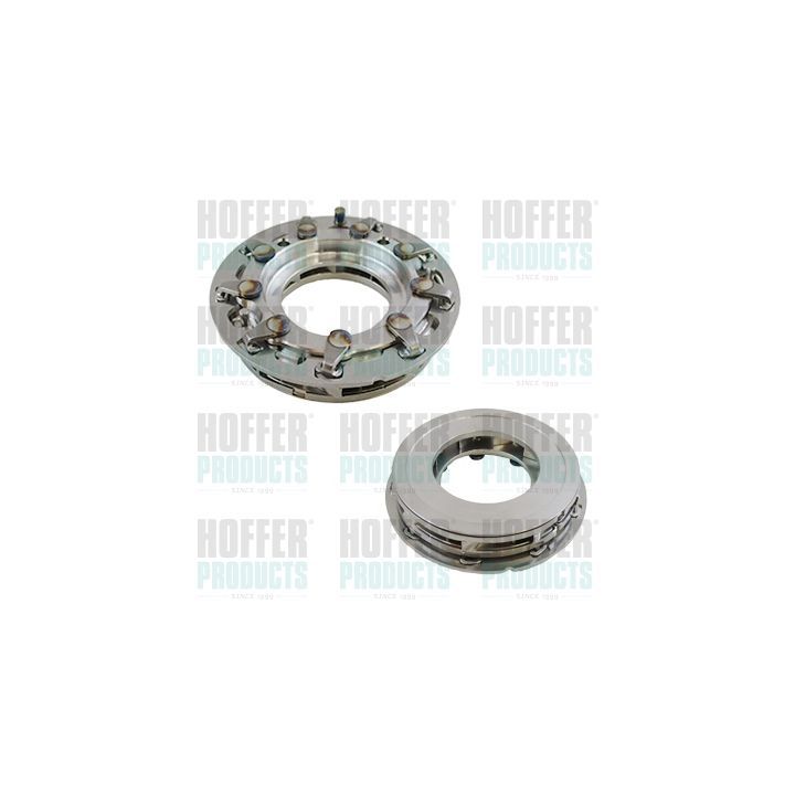 Remonto rinkinys, guolis HOFFER 6500602