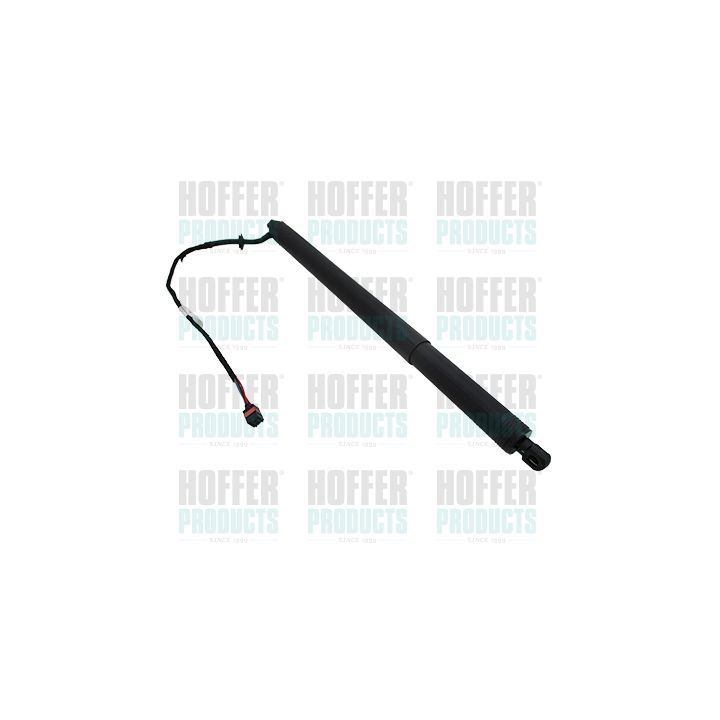 Dujinė spyruoklė, lentyna (bagažinės dangtis) HOFFER H301029