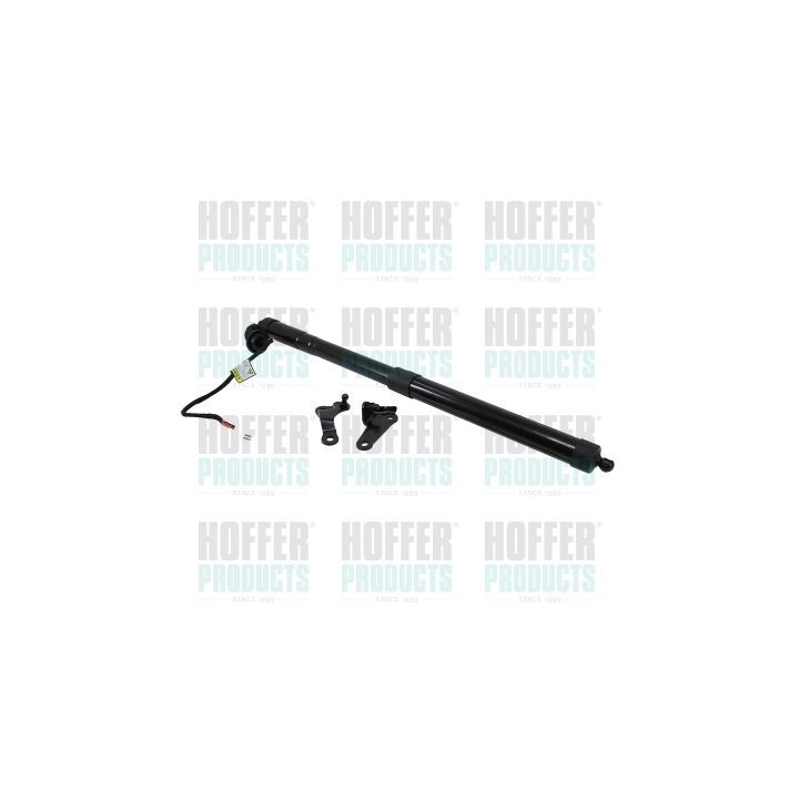 Dujinė spyruoklė, lentyna (bagažinės dangtis) HOFFER H301102