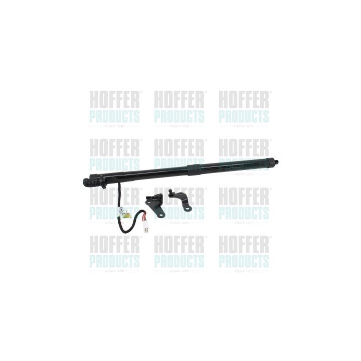 Dujinė spyruoklė, lentyna (bagažinės dangtis) HOFFER H301103