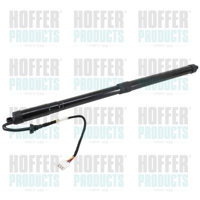 Dujinė spyruoklė, lentyna (bagažinės dangtis) HOFFER H301105