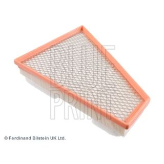Oro filtras BLUE PRINT ADA102241