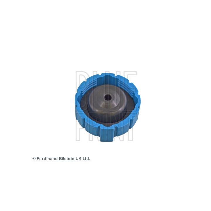 Dangtelis, radiatorius BLUE PRINT ADC49908