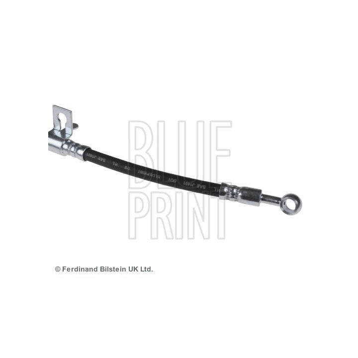 Stabdžių žarnelė BLUE PRINT ADG053165