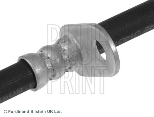 Stabdžių žarnelė BLUE PRINT ADT353335