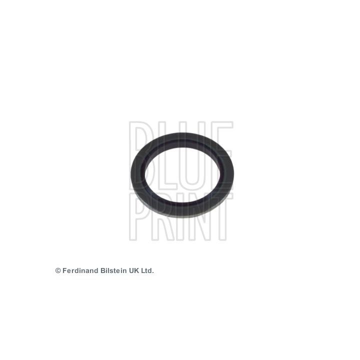 Tarpiklis, alyvos išleidimo angos kaištis BLUE PRINT ADL140102