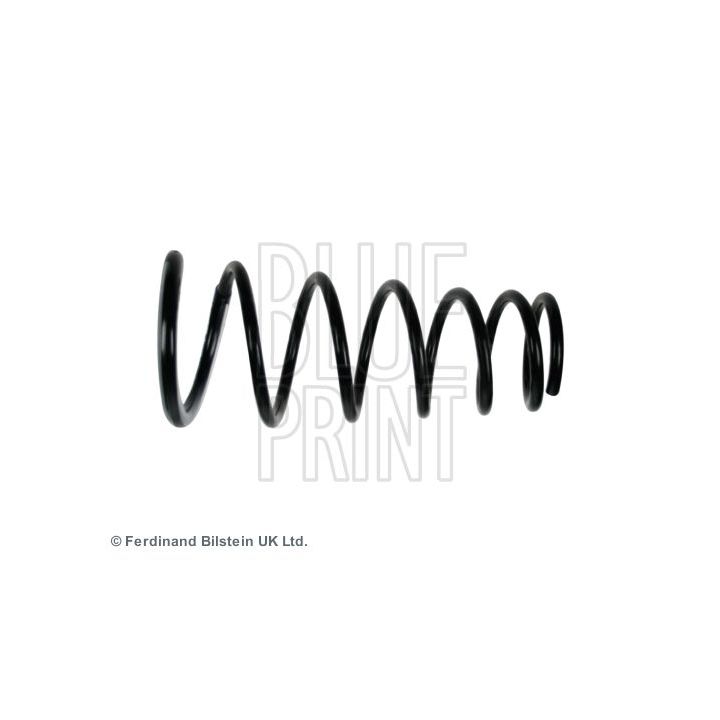 Spyruoklė BLUE PRINT ADG088357