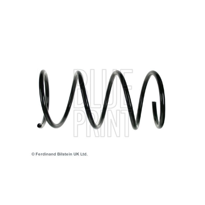 Spyruoklė BLUE PRINT ADG088361