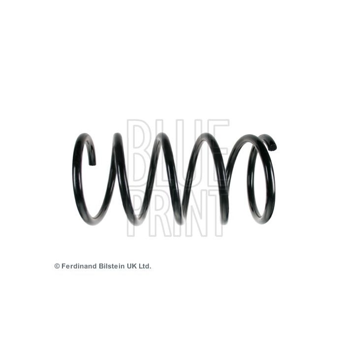 Spyruoklė BLUE PRINT ADG088374