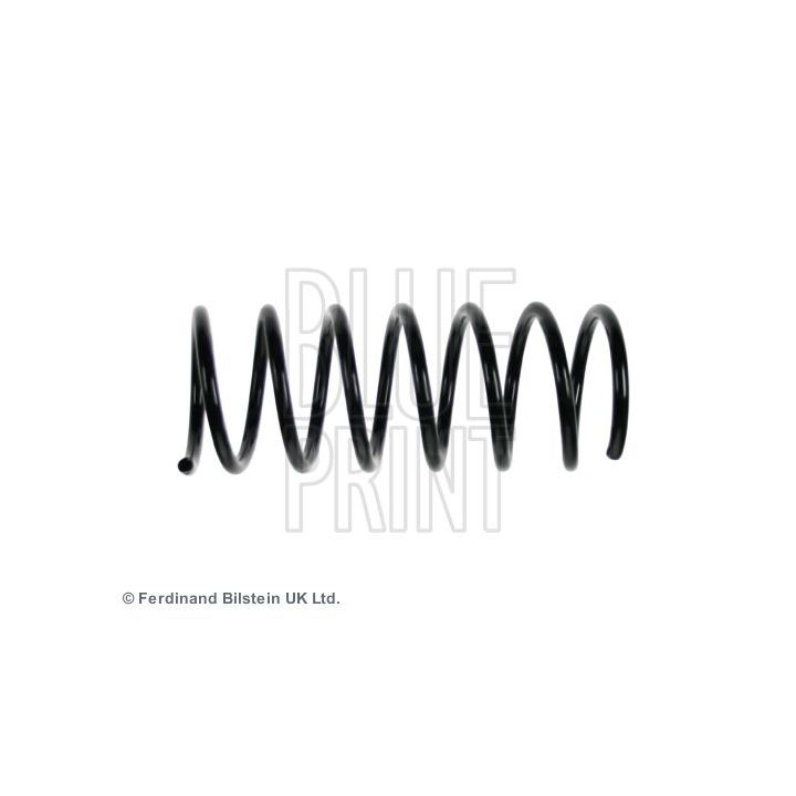 Spyruoklė BLUE PRINT ADG088392