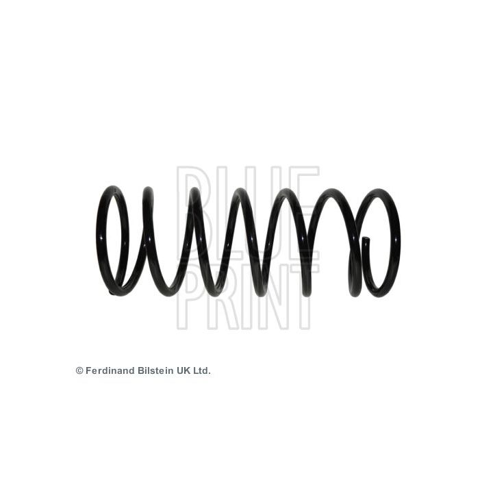 Spyruoklė BLUE PRINT ADG088429