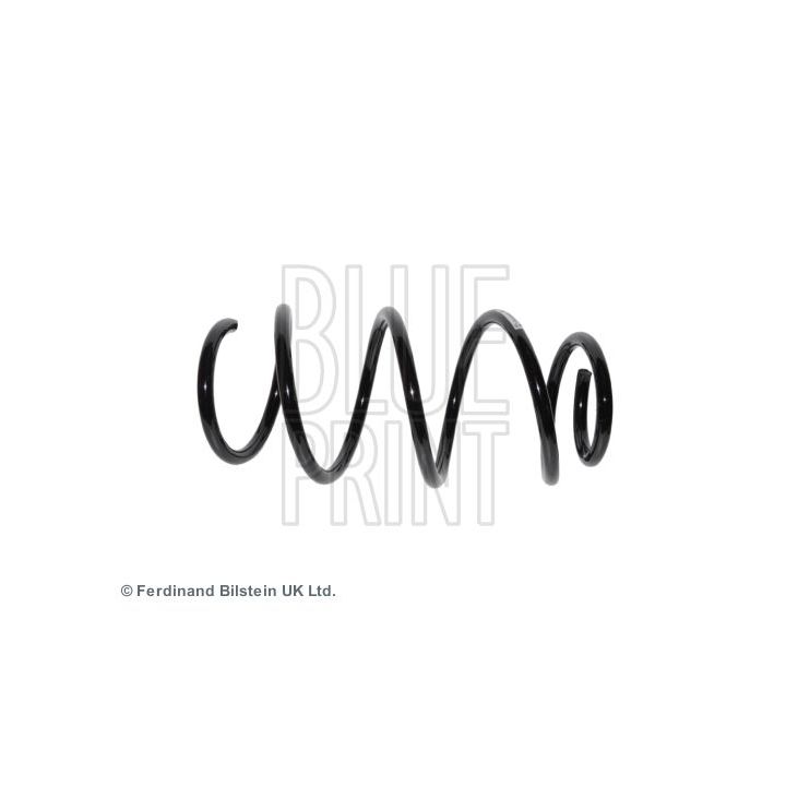 Spyruoklė BLUE PRINT ADG088469