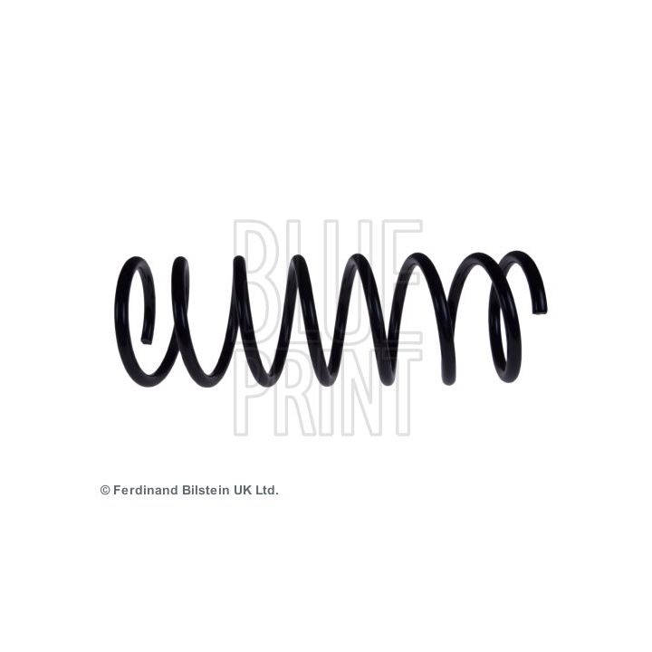 Spyruoklė BLUE PRINT ADG088478