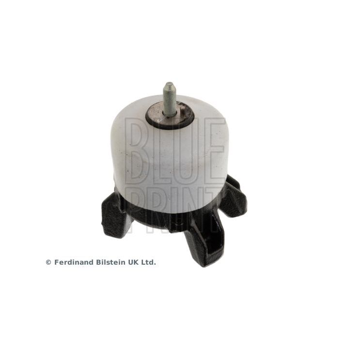 Variklio montavimas BLUE PRINT ADG080313