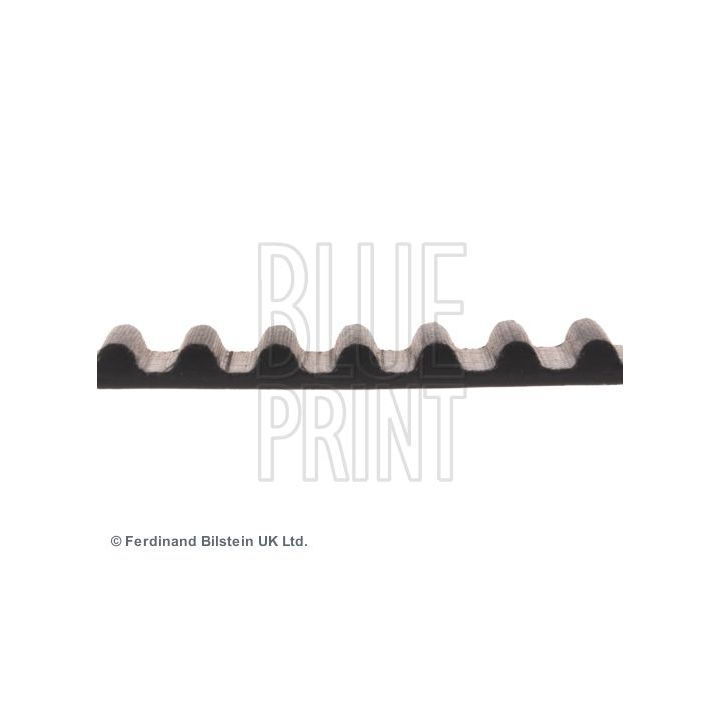 Paskirstymo diržas BLUE PRINT ADG07504