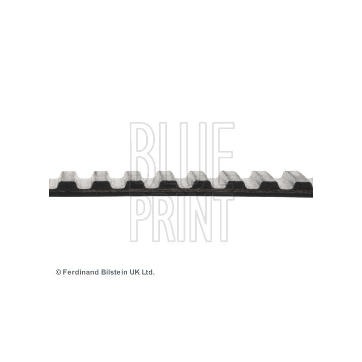Paskirstymo diržas BLUE PRINT ADZ97505