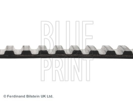 Paskirstymo diržas BLUE PRINT ADZ97505