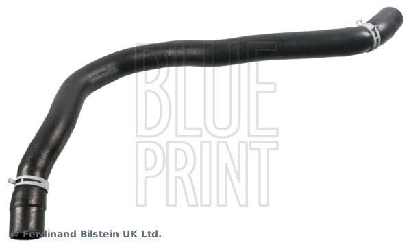 Radiatoriaus žarna BLUE PRINT ADBP930013