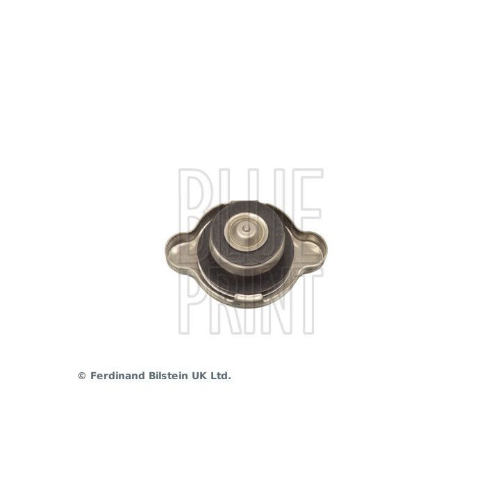 Radiatoriaus dangtelis BLUE PRINT ADC49909