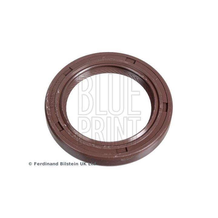 Veleno sandariklis, alkūninis velenas BLUE PRINT ADG06129