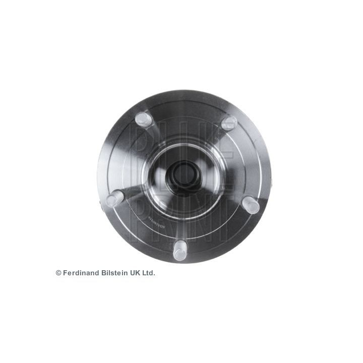 Rato guolio komplektas BLUE PRINT ADA108318