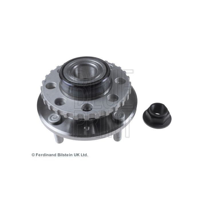 Rato guolio komplektas BLUE PRINT ADG083112