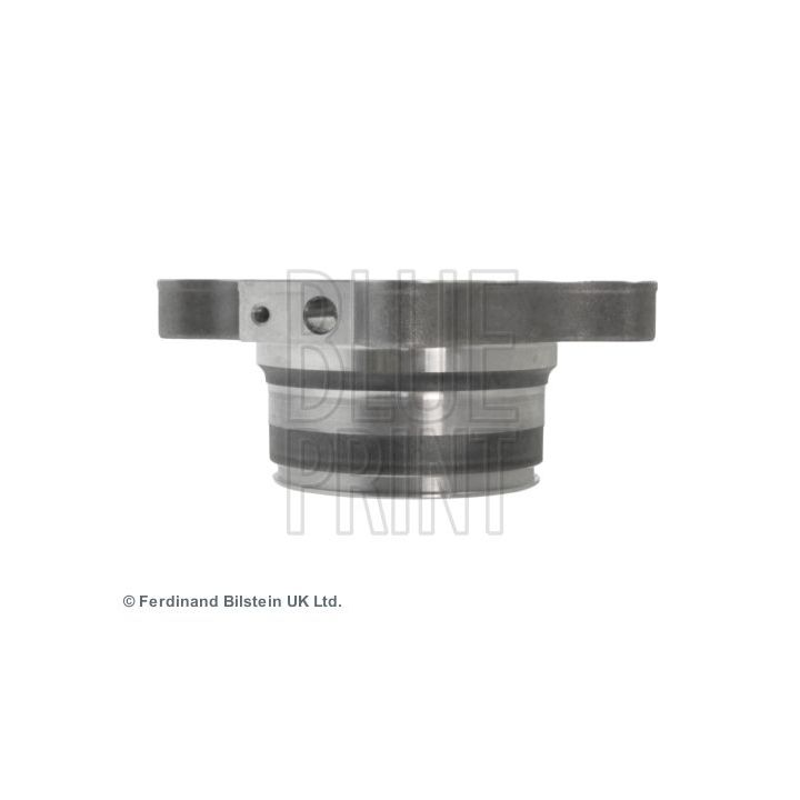 Rato guolio komplektas BLUE PRINT ADT38383